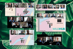 Join our next WildHub Social 11th Jan 12.15pm & 4pm GMT