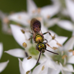 Conservation Nation Fall Grant Programs are here!