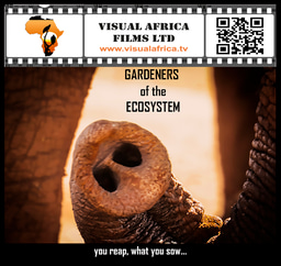 #Films4AfricanWildlife 