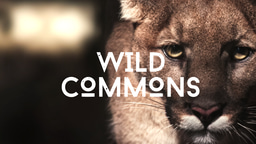 Free to watch nature & environmental films