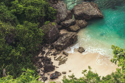 Apply to be part of the Conservation Optimism Summit 2024