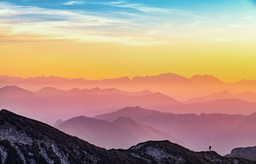 Find your career mojo: The Conservation Professional Development Programme