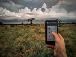 Co-Create Conservation Tech: Features, Fixes & Roadmap Workshop "Cluey" with Sensing Clues