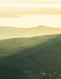 Rooted Leadership (free) Summer Series