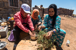 The power of indigenous community led conservation