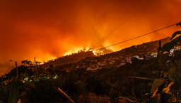 Accessing Real-time Global Environmental Databases