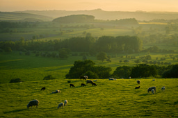 Every UK conservation organisation, in one A to Z list