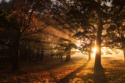 A Must‑Read for Conservationists