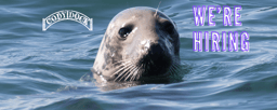 Assistant Biodiversity Officer