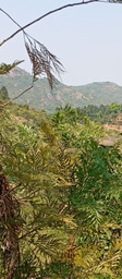 Lessons from Kitui County: Why Localized Knowledge is Key to ASAL Climate Resilience