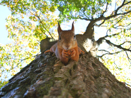 Webinar | Designing Conservation Projects That Deliver Real Impact