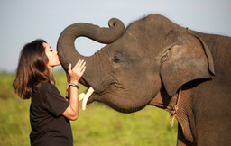 Introduction to a new idea to terminate Ivory trade