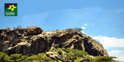 Grant Opportunity: Eswatini, South Africa, Mozambique