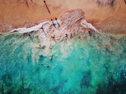 10% For the Ocean - Grants & Ocean Recovery Network