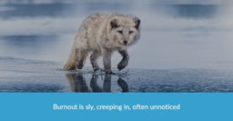 Burnout  - the signs and how to avoid it