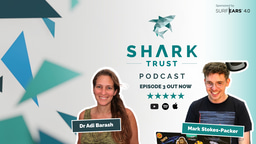 Living with Sharks: Shark Safety, Coexistence and Conservation with Dr Adi Barash | S2E3