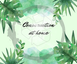Conservation from Home