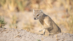 A journalist’s tale of nature as inspiration