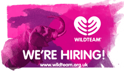 Trainer job opportunity with WildTeam