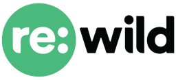 Re:wild is Hiring!