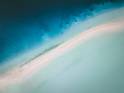 What does Equality, Diversity and Inclusion Mean in Conservation?