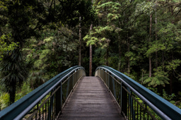 Webinar recording: Resilience and Crisis Preparation and Response