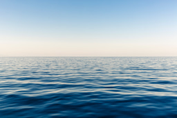 Marine Futures Internship Opportunity x2