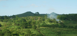 Designing community programs for conservation