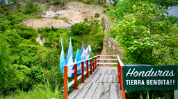 Job Opportunity with Fauna & Flora in Honduras