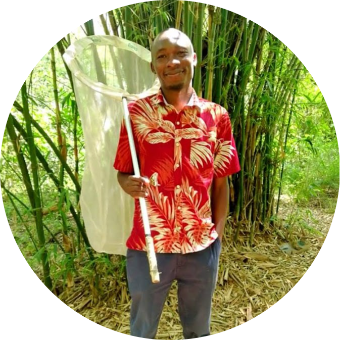 Go to the profile of Beta Julius