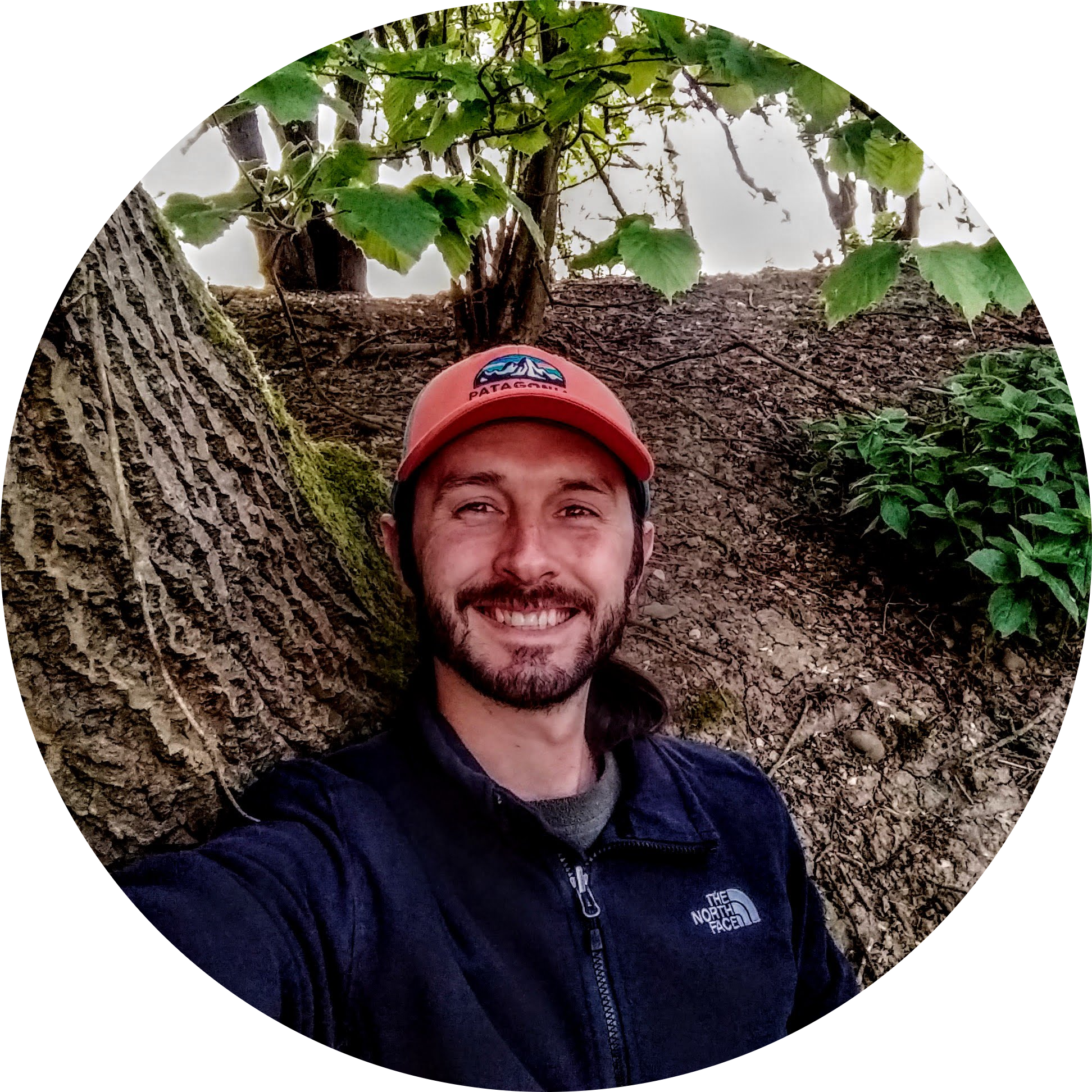 Go to the profile of Rob Davis