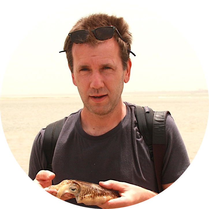 Go to the profile of Mic Mayhew