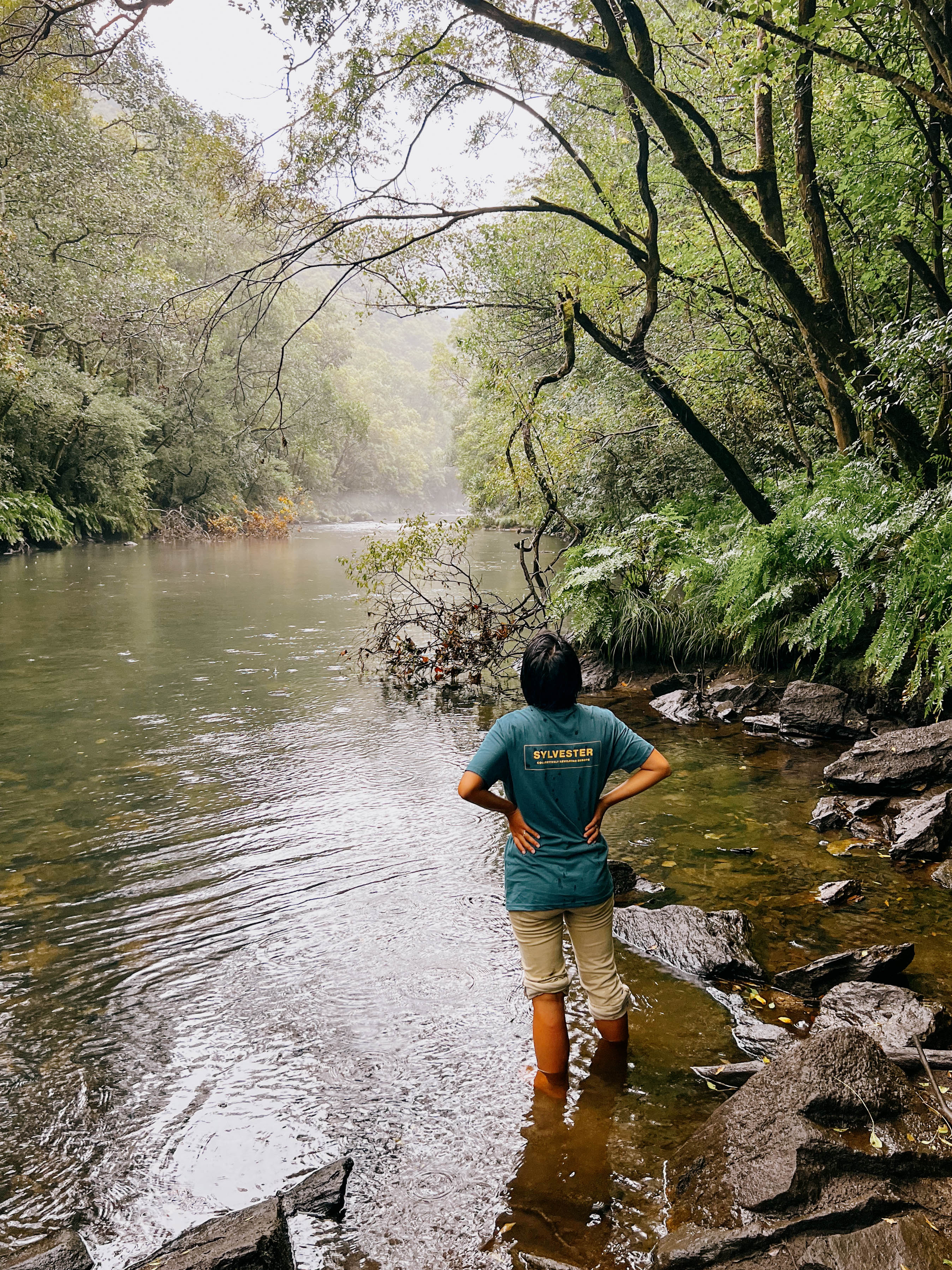 Collective rewilding project - fundraising campaign!
