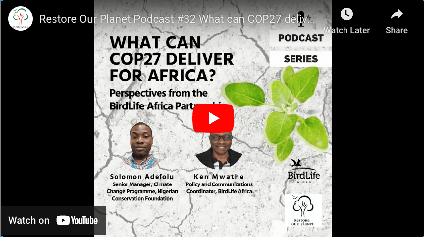 Restore Our Planet Podcast #32 What can COP27 deliver for Africa?