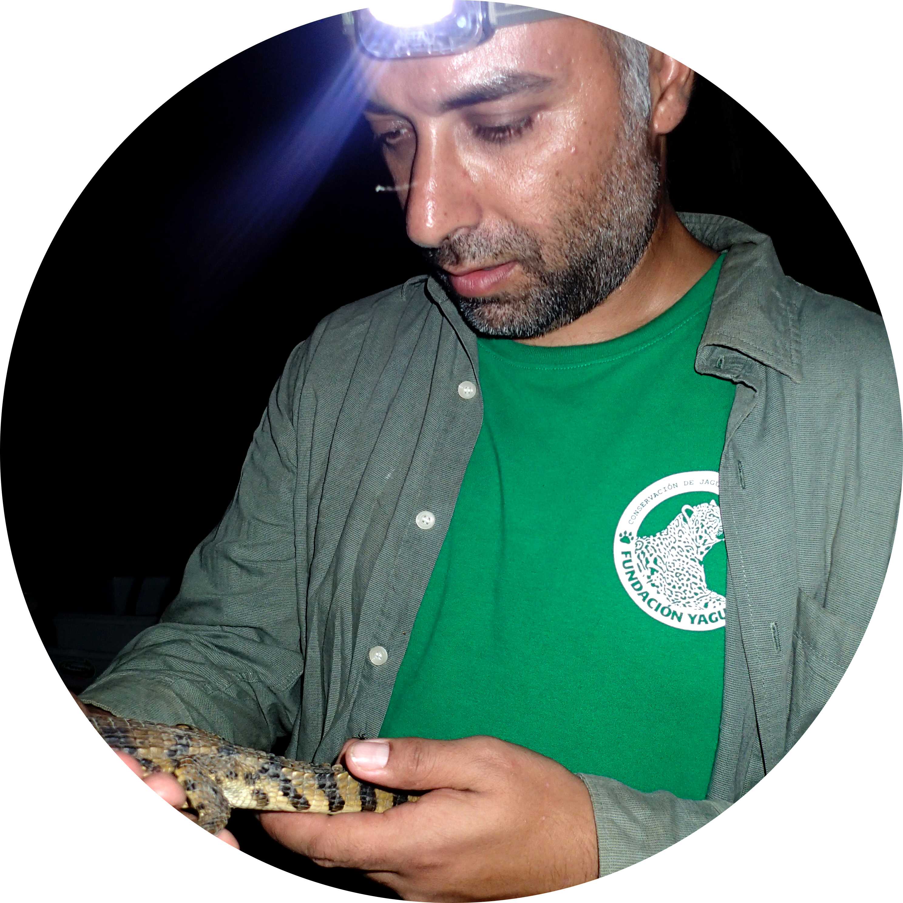 Go to the profile of Nuno Negrões