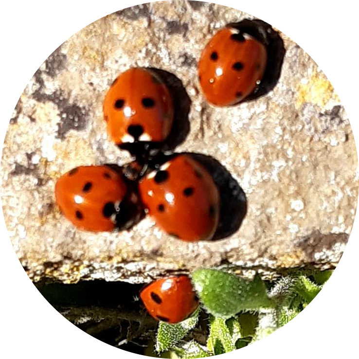 Go to the profile of Stephanie Ward