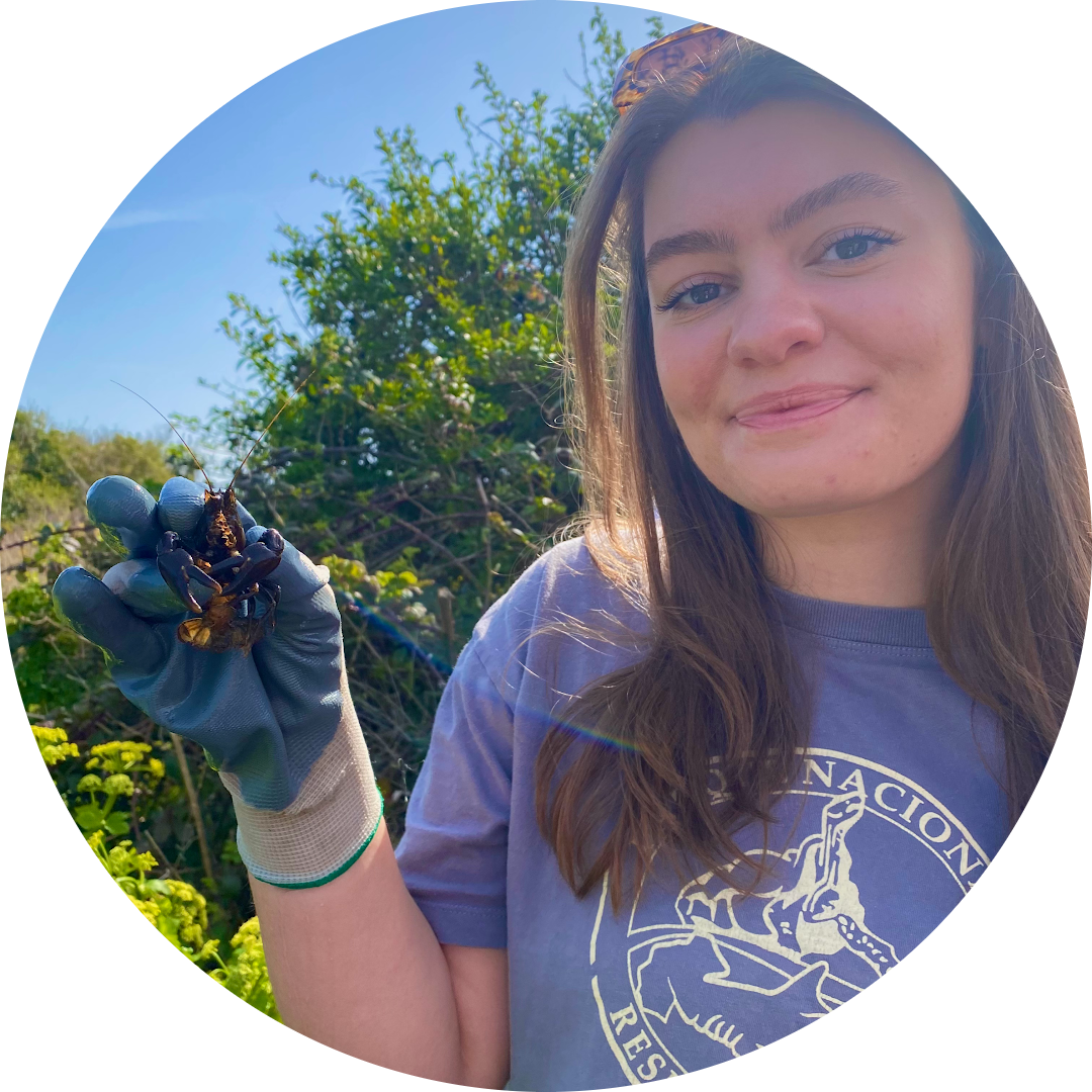 Go to the profile of Emily Wagdin