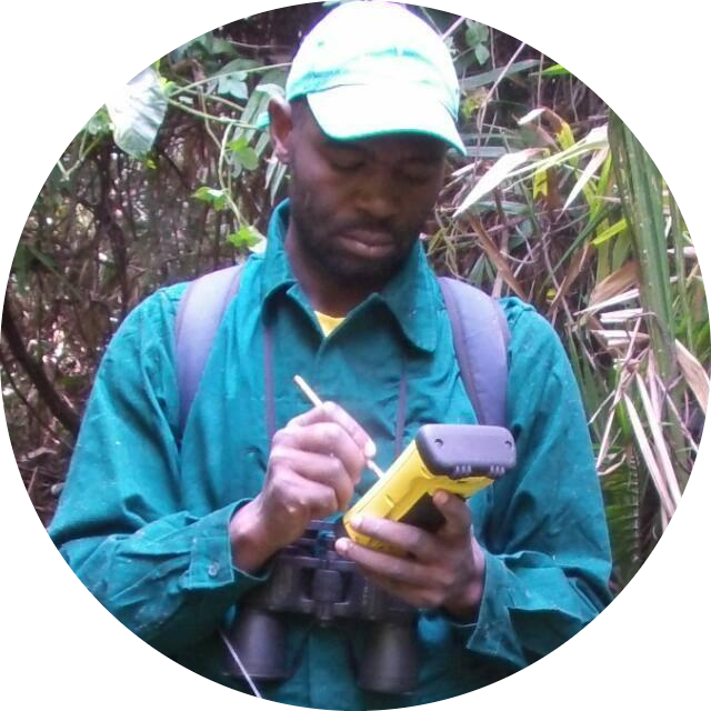 Go to the profile of Serge A. Kamgang