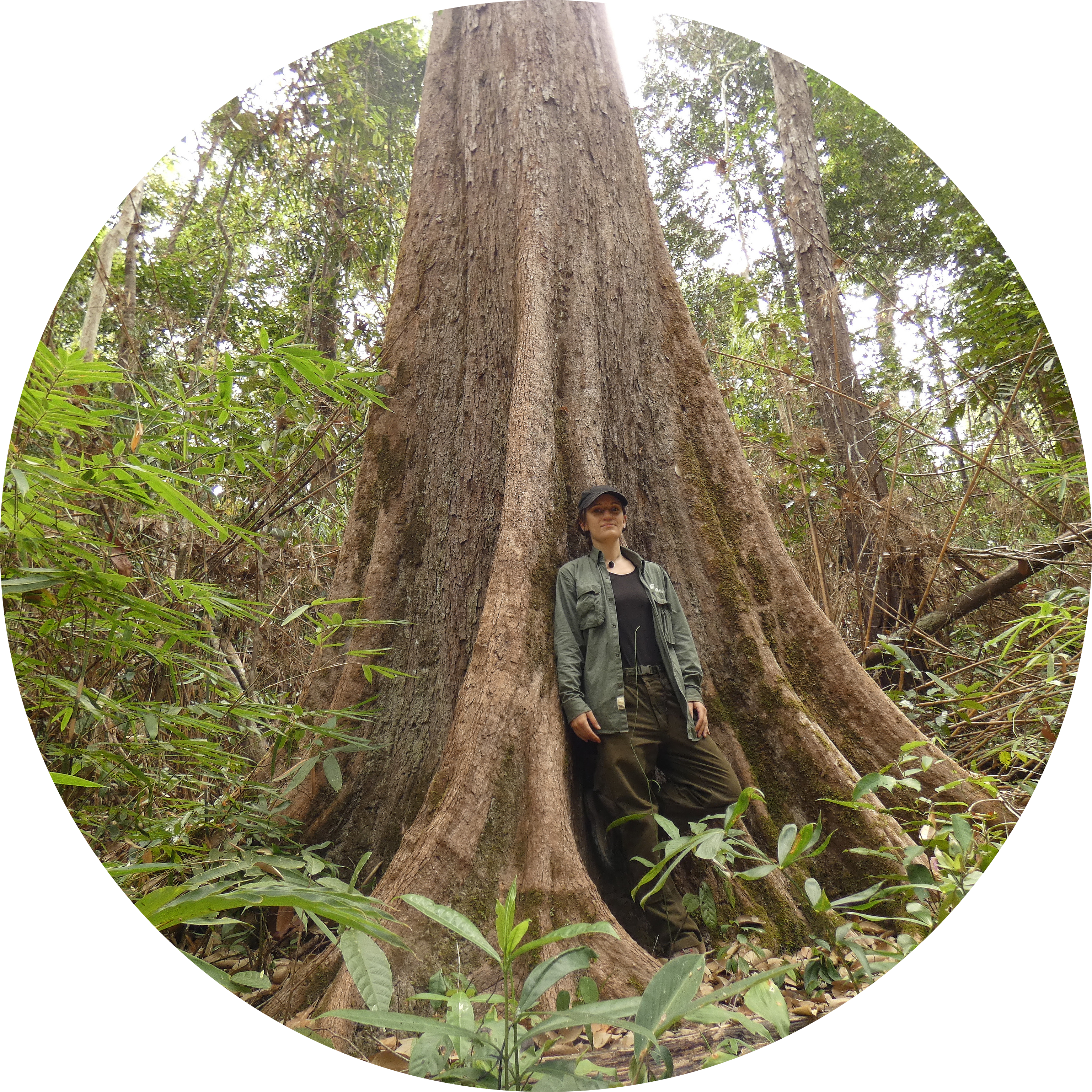 Go to the profile of Maria Chiara Parolin