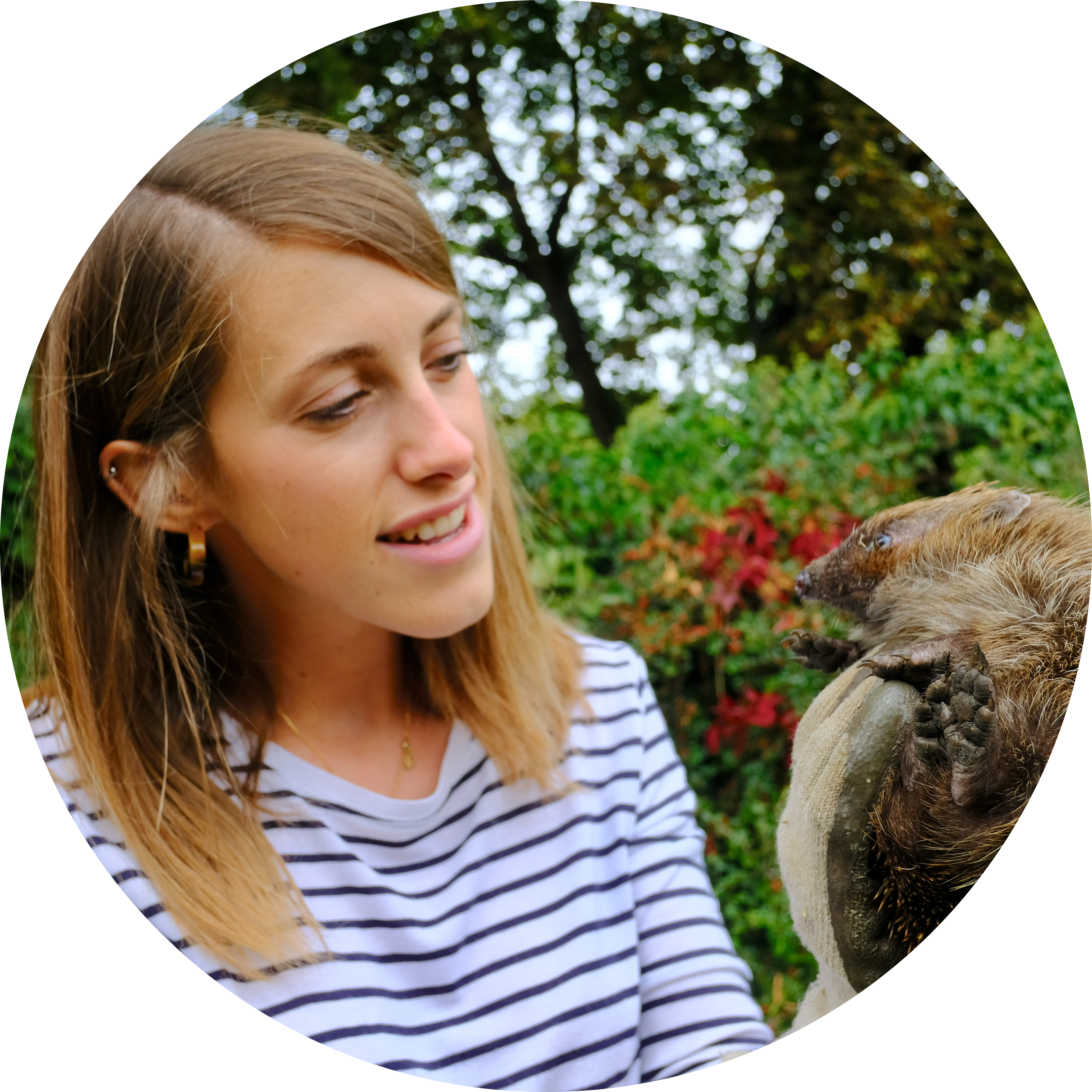 Go to the profile of Grace Johnson