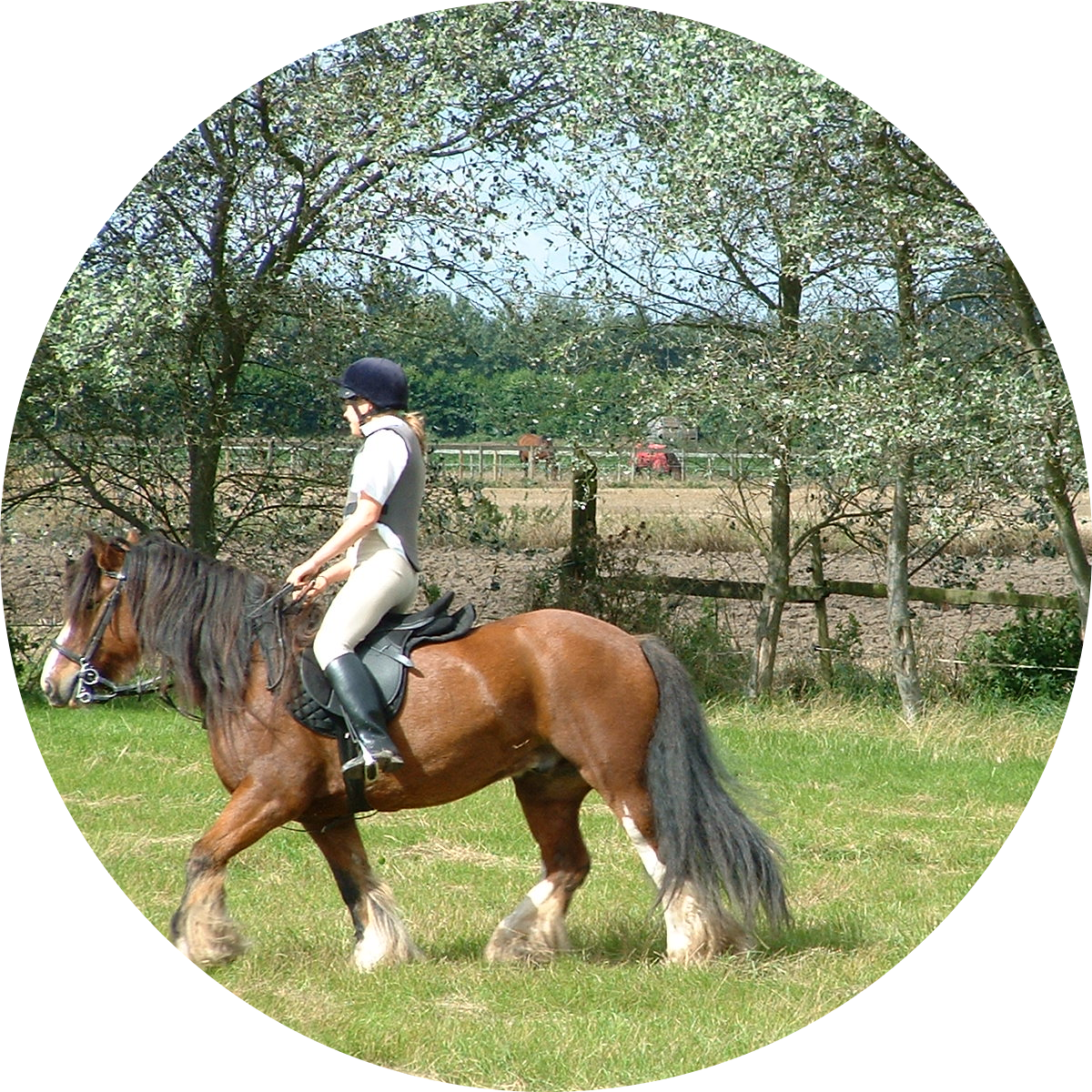 Go to the profile of Lizzie Bannister