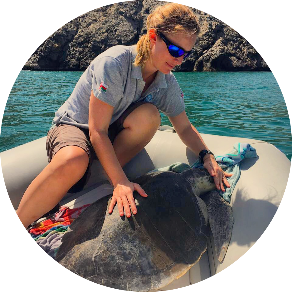 Go to the profile of Elayne Looker