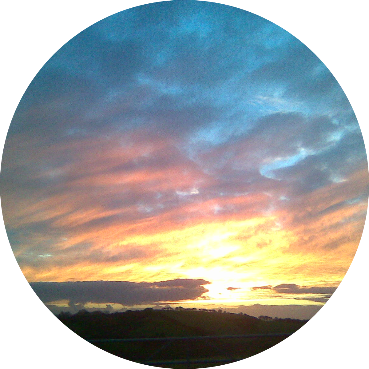 Go to the profile of Al Heal