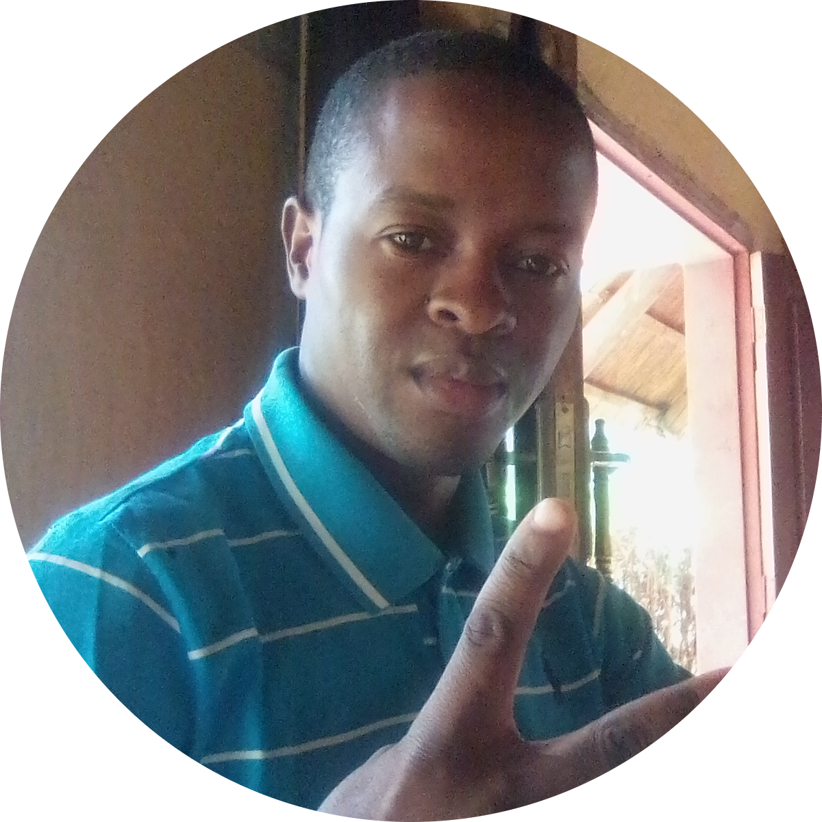 Go to the profile of David nikisi