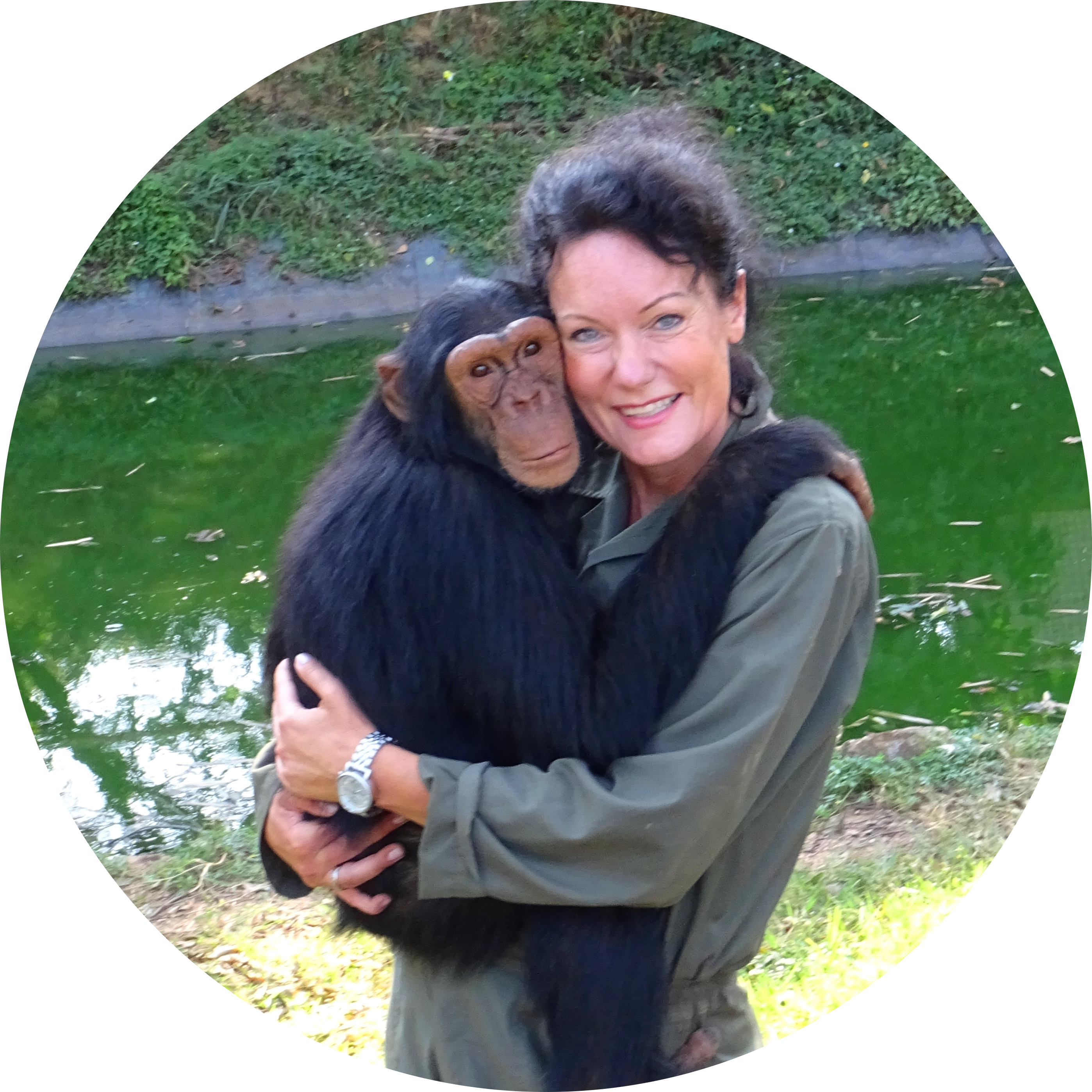 Go to the profile of Dagmar Sawistowsky