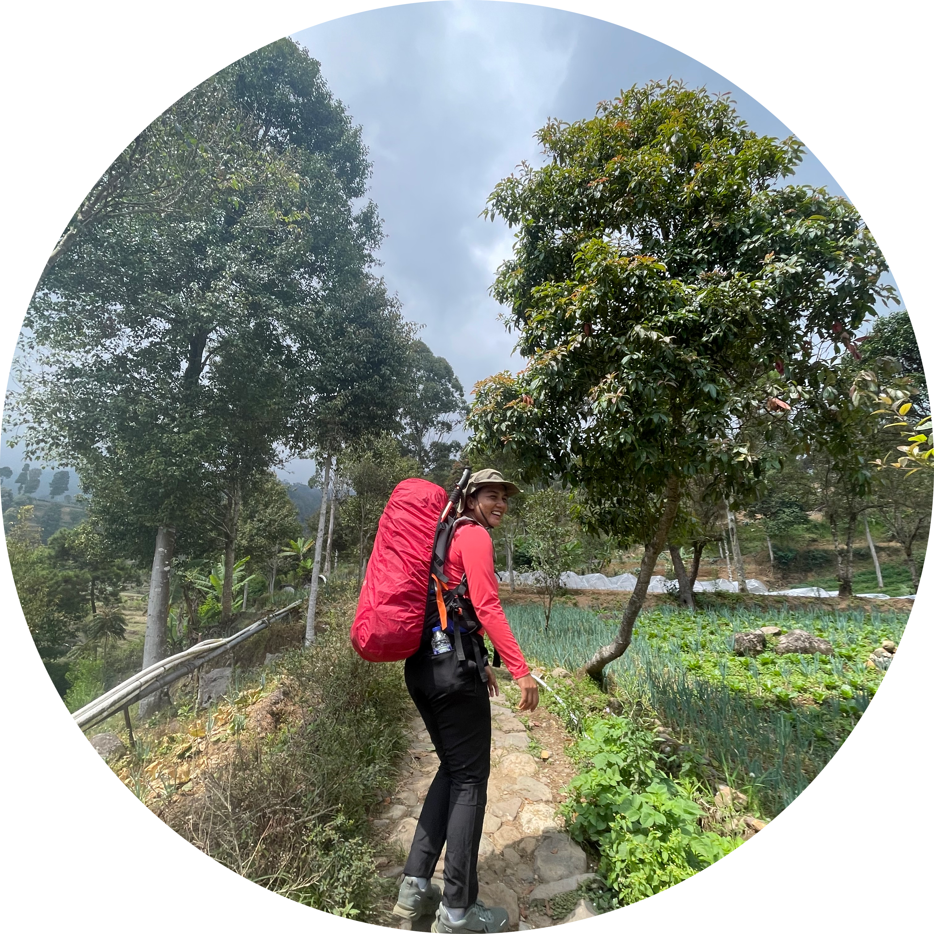 Go to the profile of Novitasari