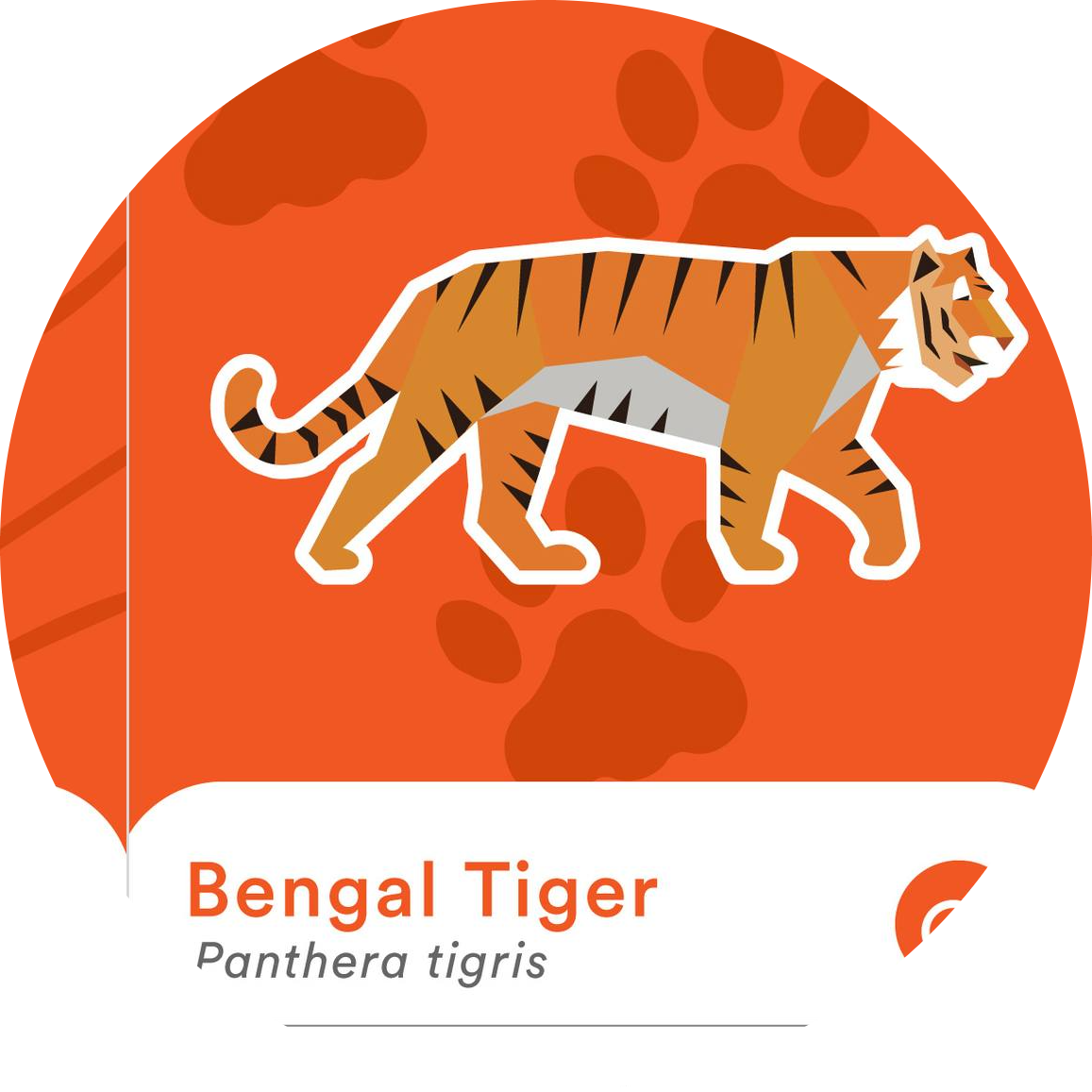 Go to the profile of Md Sarowar Jahan