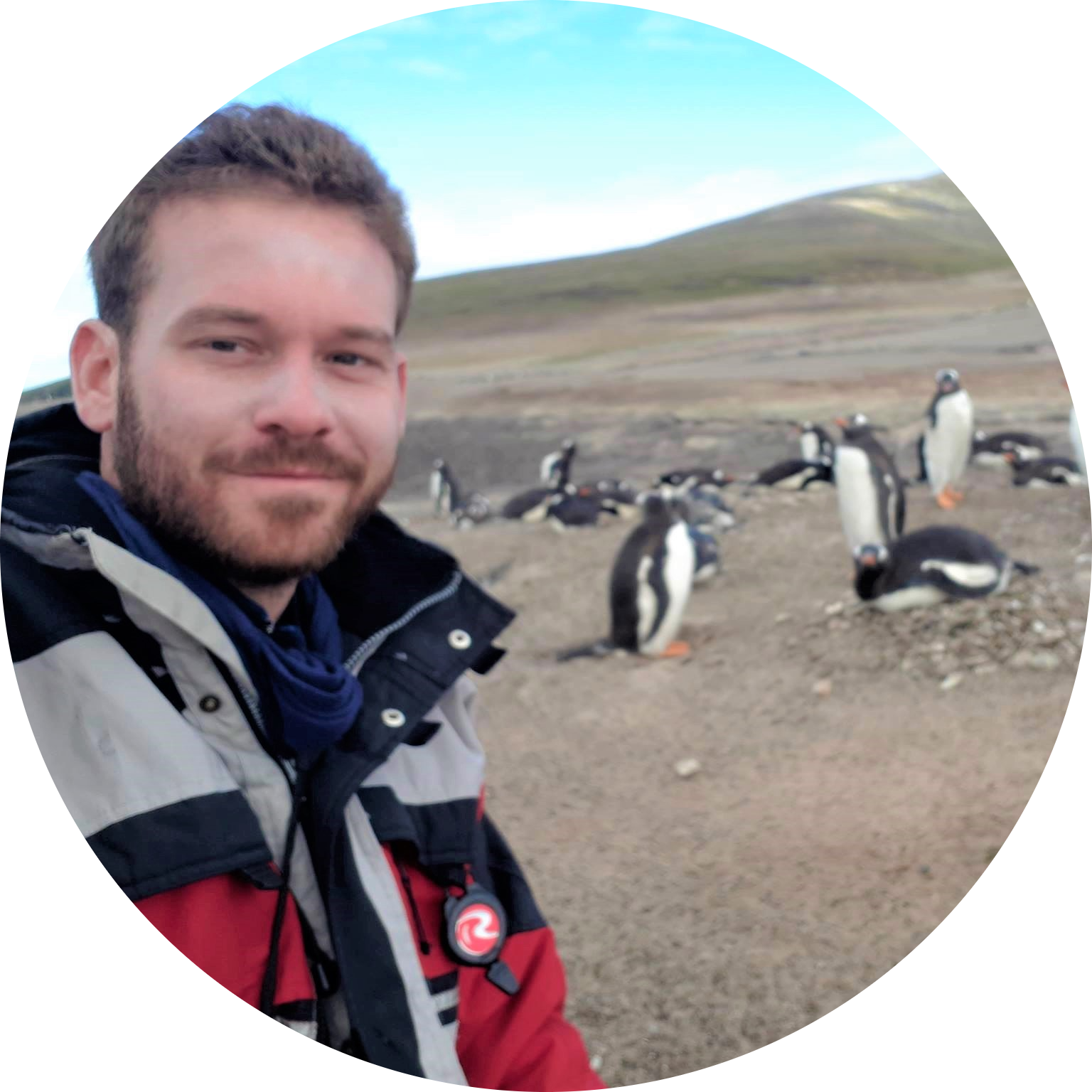 Go to the profile of Gal Zanir