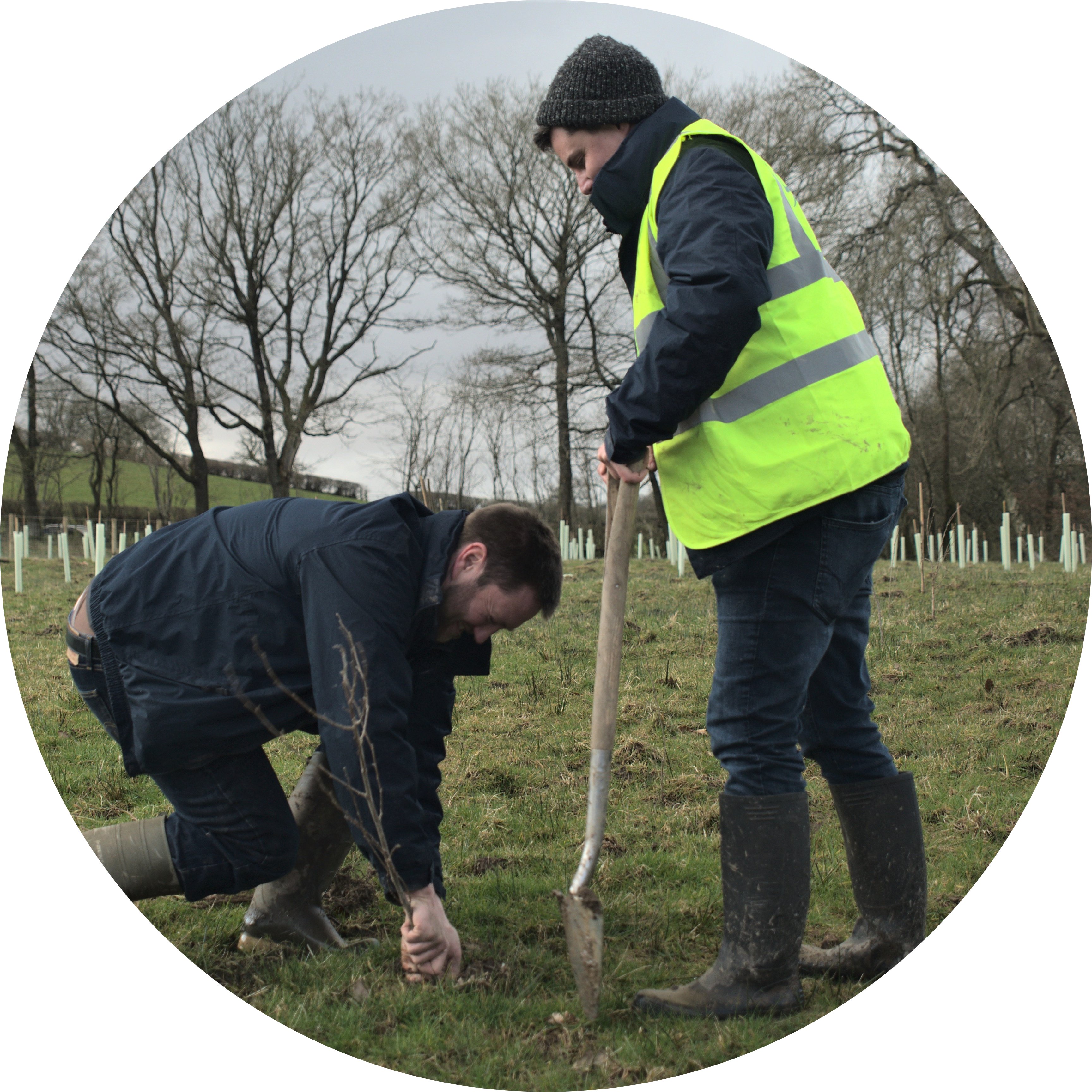 Go to the profile of Michael Cunningham