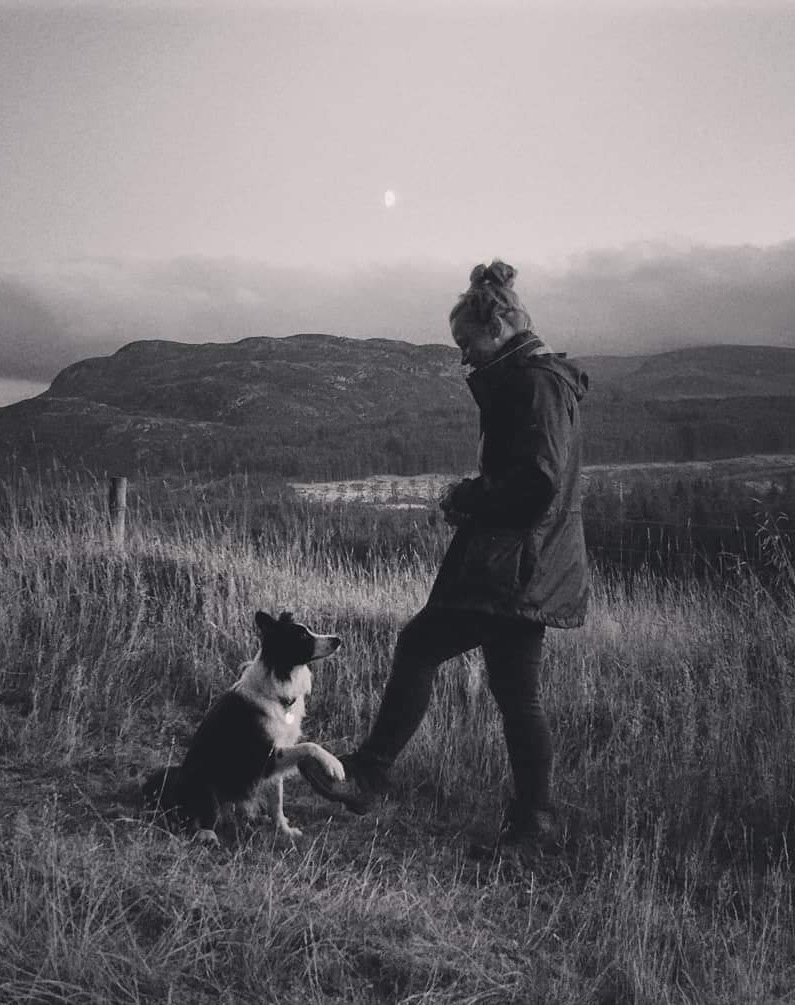 Go to the profile of Susan Whyte